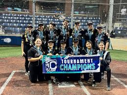 Image result for Oblivion Softball Club