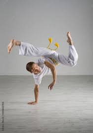 Image result for Brazilian-martial arts