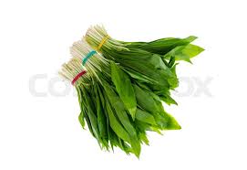 Attēlu rezultāti vaicājumam “Allium ursinum fruit”