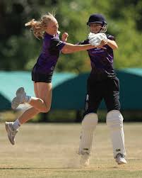 Image result for Horsley & Send Cricket Club