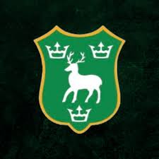 Image result for Dereham Hockey Club