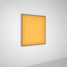 Attēlu rezultāti vaicājumam “Enteridium variabile”