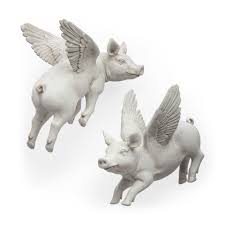 Image result for flying pigs