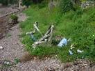 SM9505 : Alcohol fuelled - via Daymix