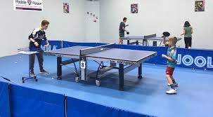 Image result for Foresters Table Tennis Club