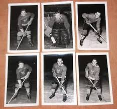 Image result for Haringey Greyhounds Ice Hockey Club