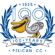 Image result for Patrington Cc
