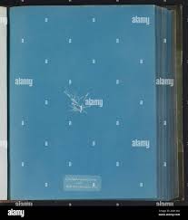 Attēlu rezultāti vaicājumam “Chaetophora pisiformis”