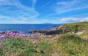Image result for Mullaghmore