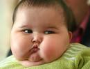 fat in face 300x228 fat in