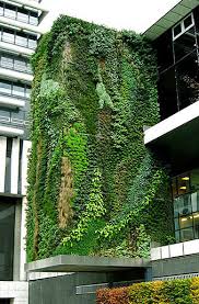 Image result for living wall
