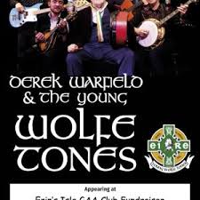 Image result for Wolfe Tones Gaelic Athletic Club