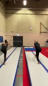 Image result for North East London Gymnastics Club