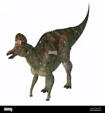 Bildergebnis für corythosaurus