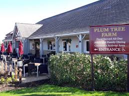 Image result for Plumtree Cricket Club