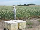 Green Blog   Agriculture and Natural Resources Blogs