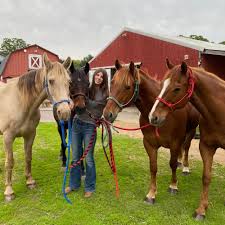 Image result for Annandale Equestrian Centre