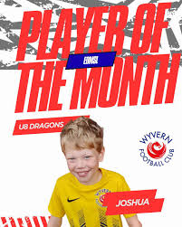 Image result for Wyvern Dragons Junior Badminton Club