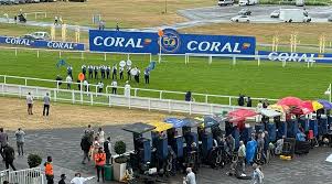 Image result for Sandown Sports Club