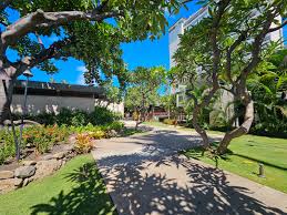 Image result for Wokingham Canoe Club