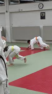 Image result for Grange Judo Club