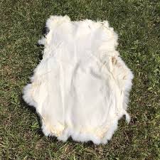 Image result for white rabbit skin texture