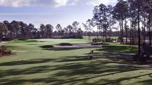 Image result for Cranfield Golf Academy