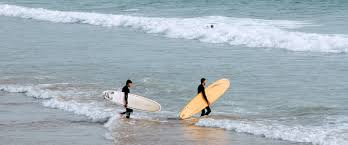 Image result for Scarborough Malibu Surf Club