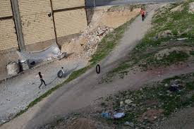 Image result for selvatici tehron