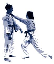 Image result for Highgate Martial Arts Academy