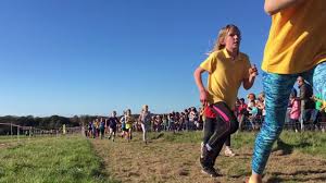 Image result for Pembrokeshire Harriers