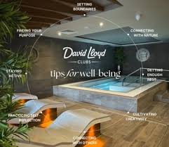 Image result for David Lloyd Senior Badminton Club