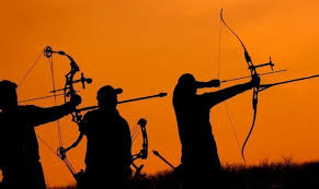 Image result for Row Brow Field Archery