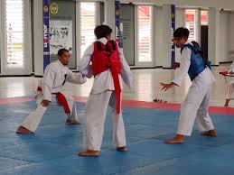 Image result for Silat Pd (Perisai Diri) UK