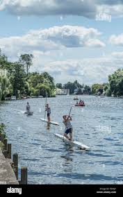 Image result for Thames Punting Club