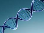 Knowing which <b>genes</b> are