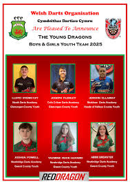 Image result for Clwyd County Darts Club