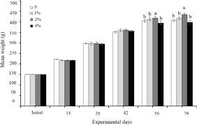 Image result for Huso fulvescens