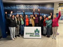 Image result for Dublin Underwater Hockey Team
