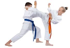 Image result for Karate Wado Kai