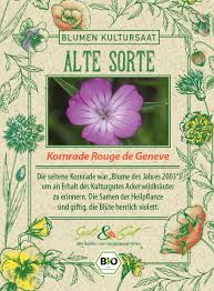 Image result for Kornrade