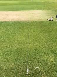 Image result for Pitch marking blog