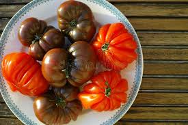 Afbeeldingsresultaat voor black oxheart tomato