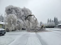 Image result for ice storm