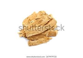 Attēlu rezultāti vaicājumam “Astragalus arenarius fruit”