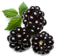 http://t0.gstatic.com/images?q=tbn:ANd9GcT0PJMf5Ynr7OLTyjRUJoJvw3d4Z42YFwXaUO6E93brmucqzt3-LQ