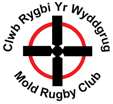 Image result for Rugby Welsh R F C