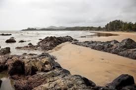 Image result for patnem beach