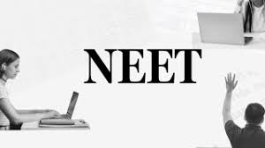 Image result for 社畜NEET