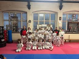 Image result for Bristol Karate Club